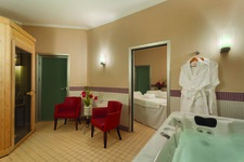 SPA / VIP Treatment Room