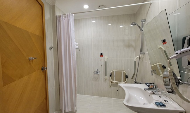<span>Accessible Room</span> Bathroom Features